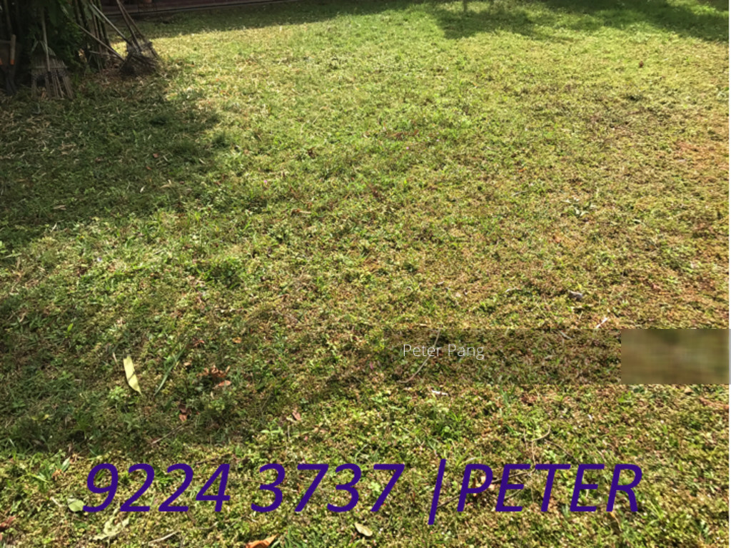 Hong Kong Park (D21), Detached #137889502